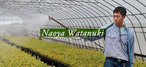 Naoya Watanuki